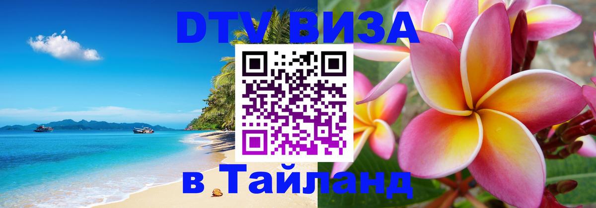 Сколько стоит DTV виза — актуальные цены, оформление даже без документов - 18.11.2025 