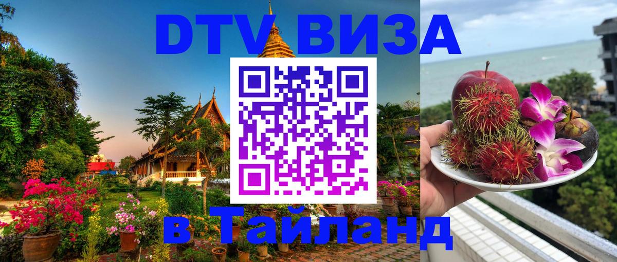 Оформление DTV визы под ключ: стоимость и тарифы, только загранпаспорт - 